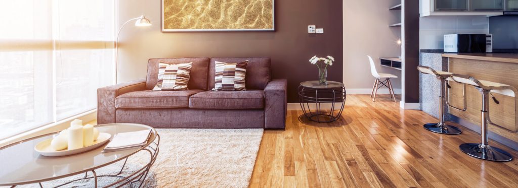 שטיחי שאגי - לאן הם מתאימים?