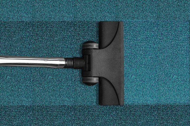 תחזוקת שטיחים - ככה מפחיתים את קרדית האבק